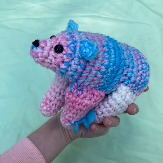 Trans pride bear