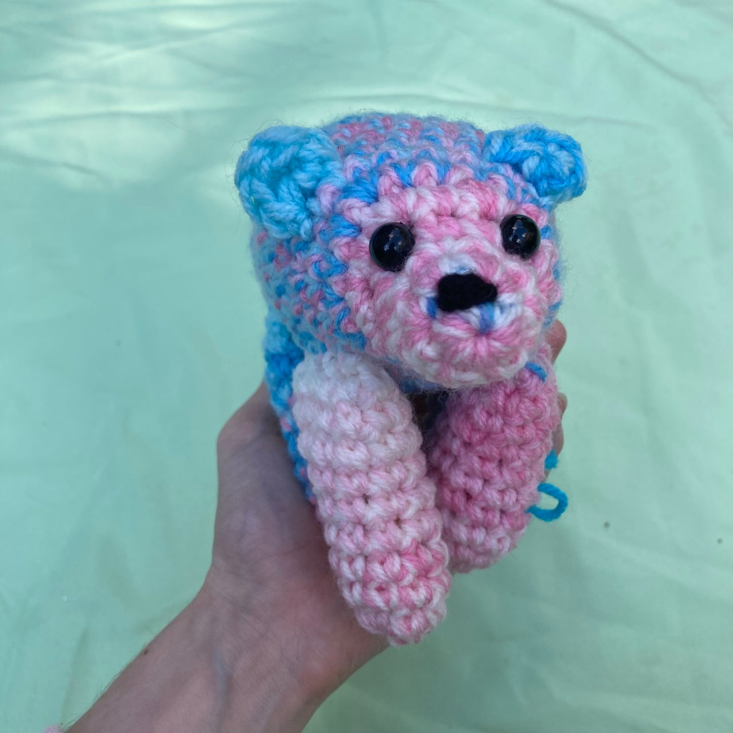 Trans pride bear